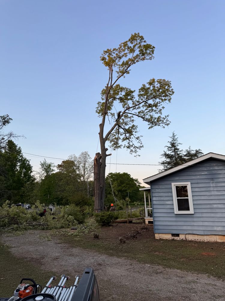 All Photos for Thin Green Line Landscaping & More in Laurens, SC
