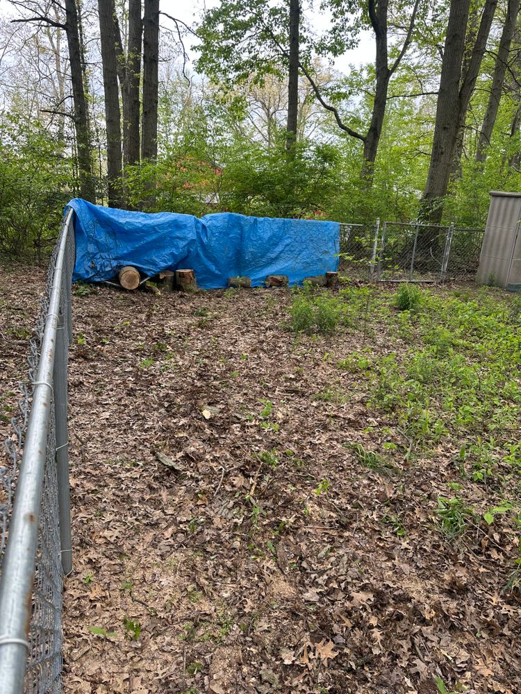 Tree Removal for Blakescape in Elkhart, IN