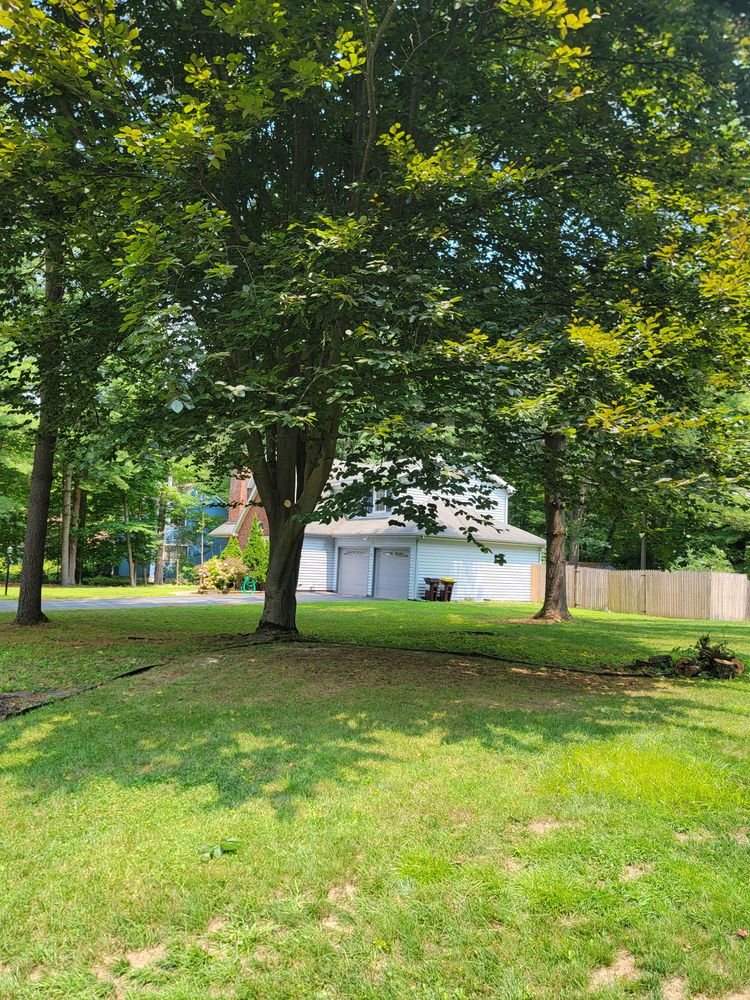 All Photos for Sweet Scapes in Ballston Spa, NY