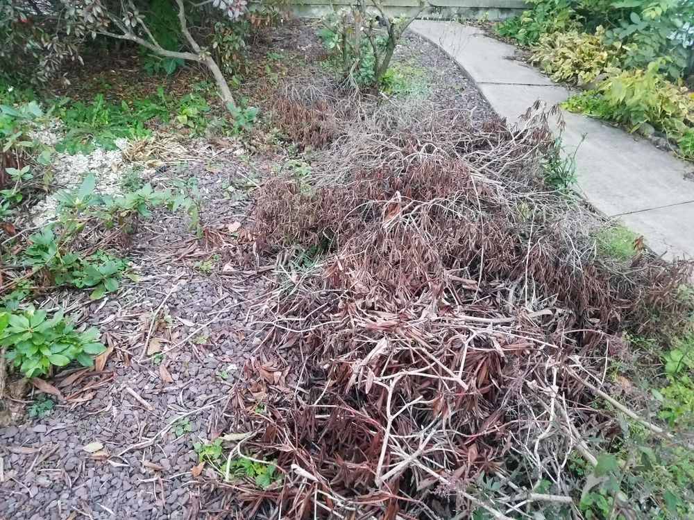 All Photos for Down Home Landscaping in Stillwater, PA