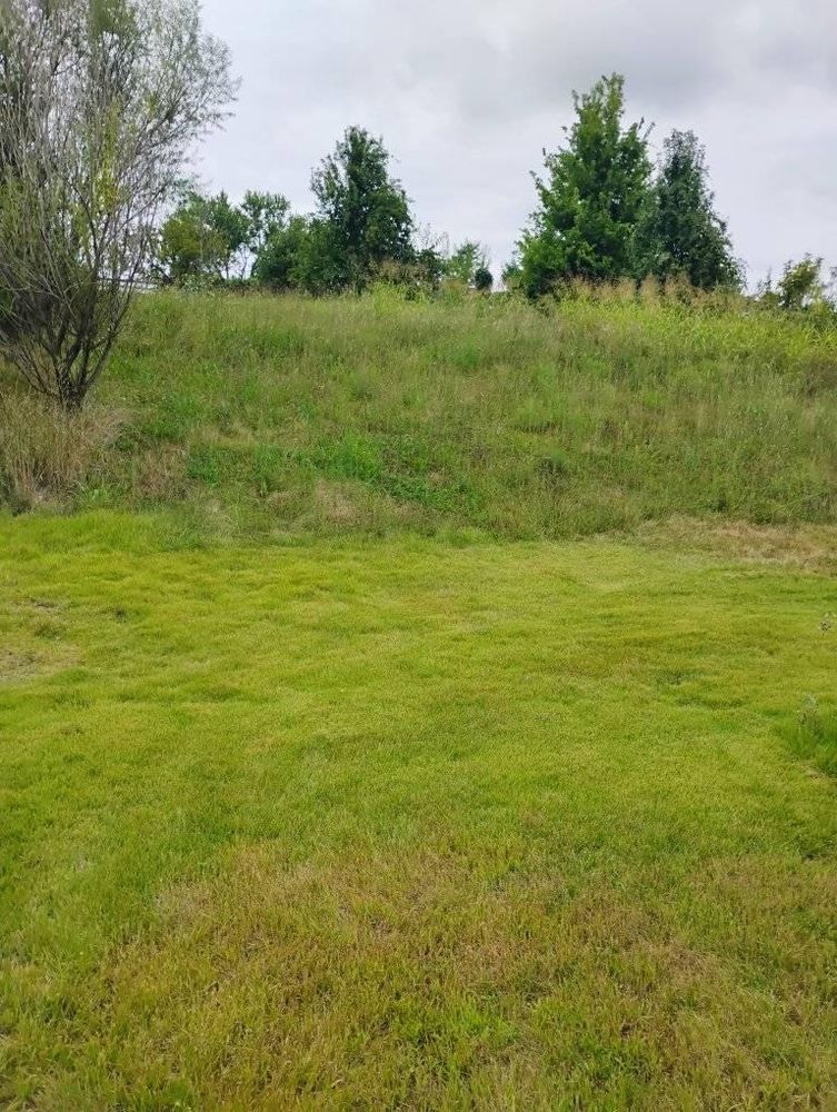 All Photos for Kingdom Tree Trimming and Removal LLC in Covington, KY