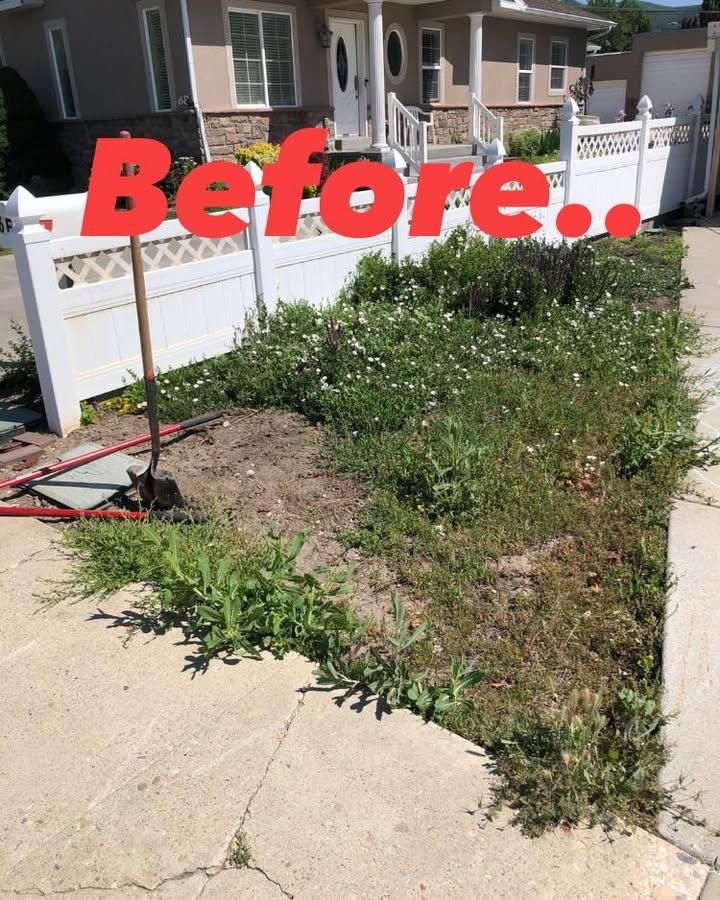 All Photos for Duncan Yard Services in Bountiful, UT