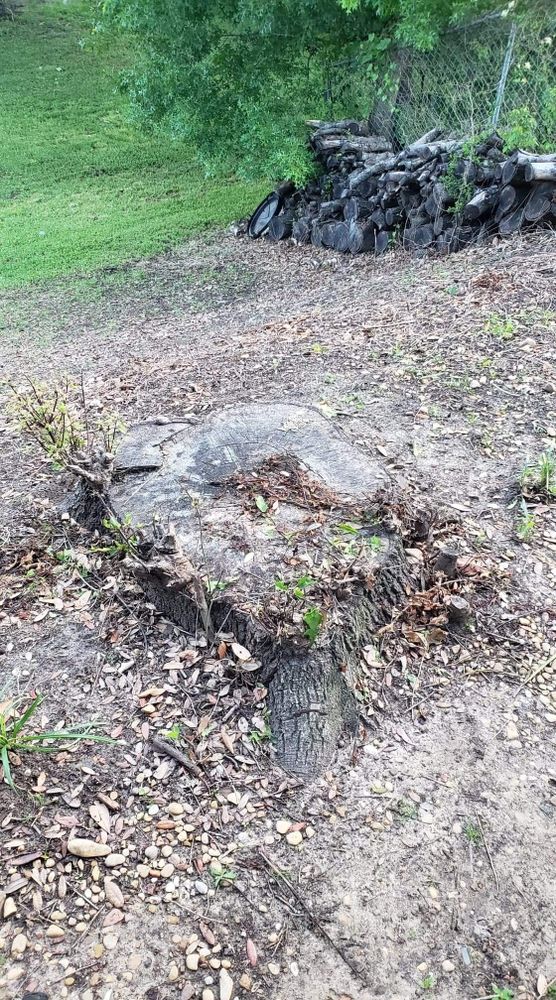 All Photos for Paquito's Landscaping in Ellis County, TX