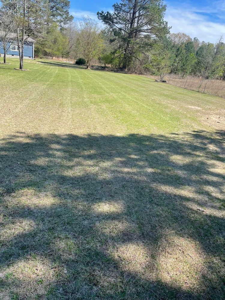 Landscaping for Sparks Landscaping in Augusta, GA