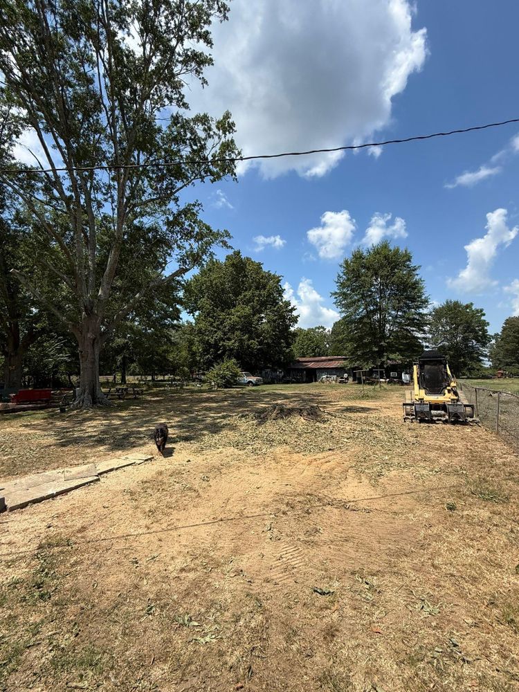 All Photos for Mud Creek Vegetation Management in Russellville, AL
