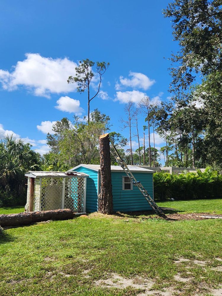 All Photos for Nick of Time Tree Service in North Port, FL