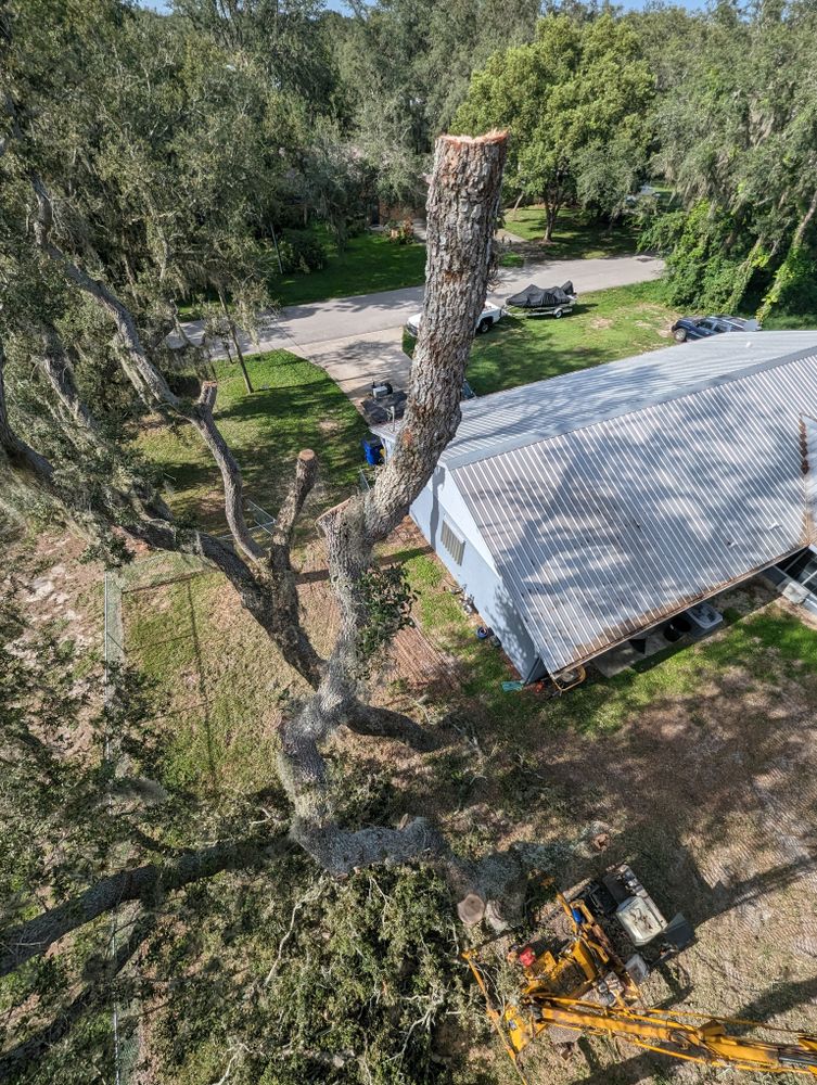 All Photos for Regal Tree Service and Stump Grinding in Wauchula, FL