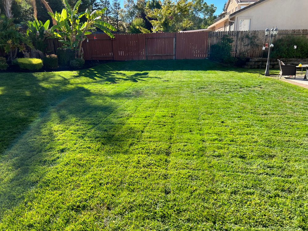 Lawn Care for Folsom Lake Landscaping in El Dorado Hills, CA