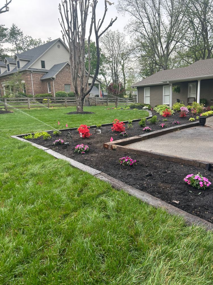 All Photos for Optimum Tree Service And Landscaping in Bowling Green, KY