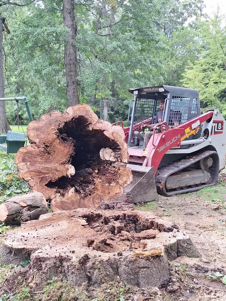 All Photos for Highborn Tree Service in Wheatfield, IN