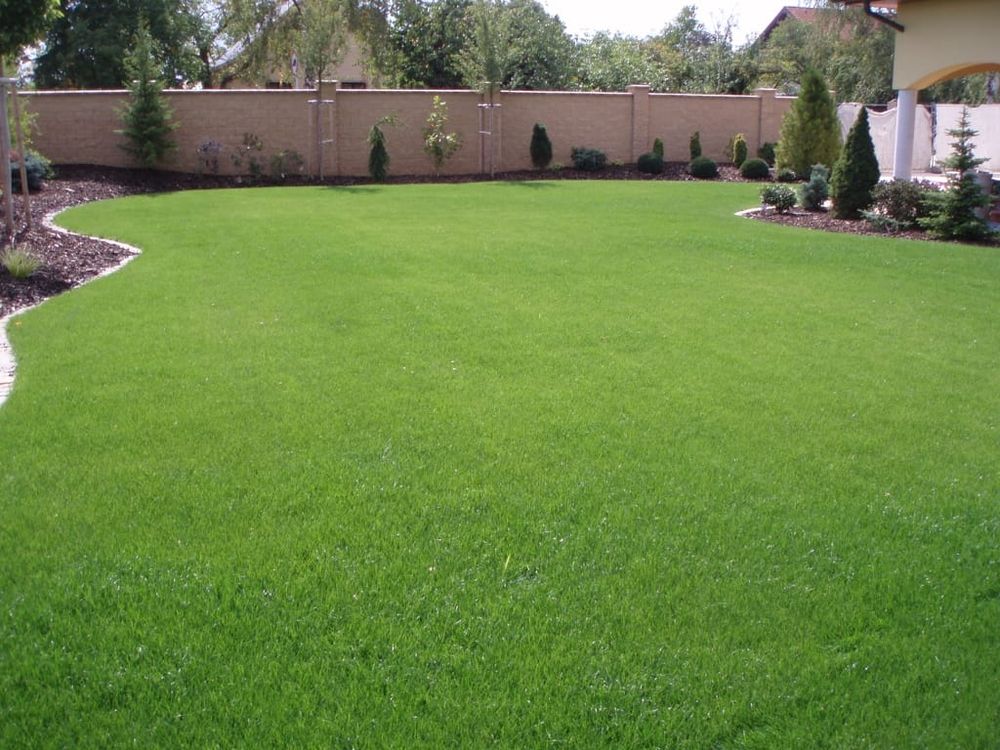 Lawn Care for Rey Landscaping & Lawn service LLC in West Palm Beach,  FL