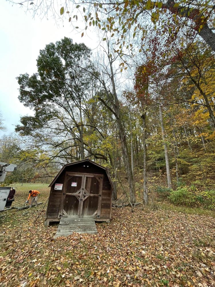 All Photos for Ross Family Tree Service LLC  in Hohenwald, TN