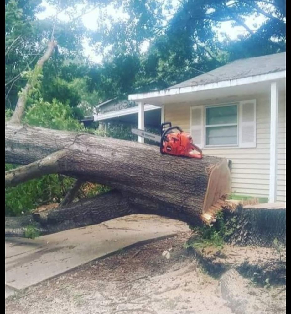 All Photos for Millers Tree Service in Saline County, AR