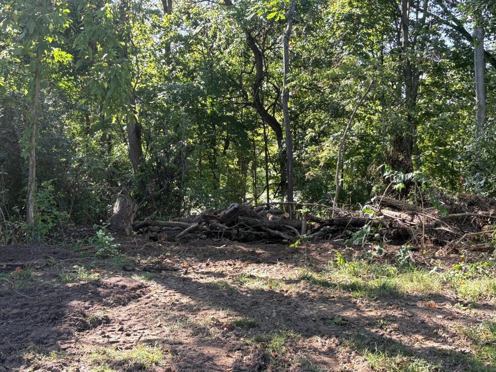 All Photos for Dig-It Tree Company in , 