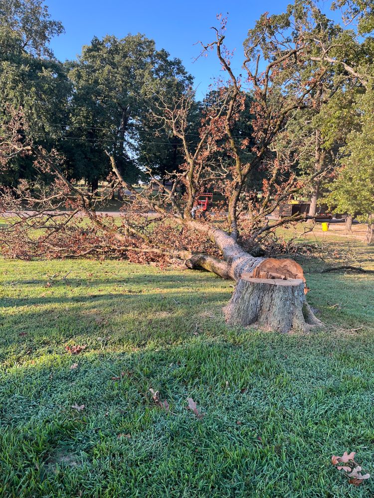 All Photos for JC Land and Tree Service in Kilgore, TX