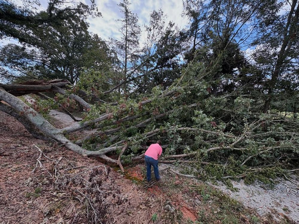 All Photos for Longhorn Fence & Land Development in Webster, TX