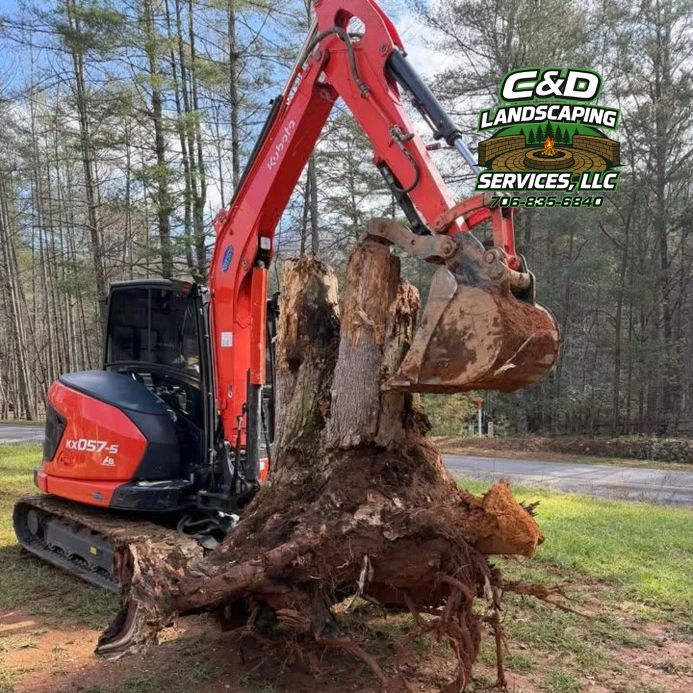 All Photos for C & D Landscaping Services LLC in Blairsville, GA