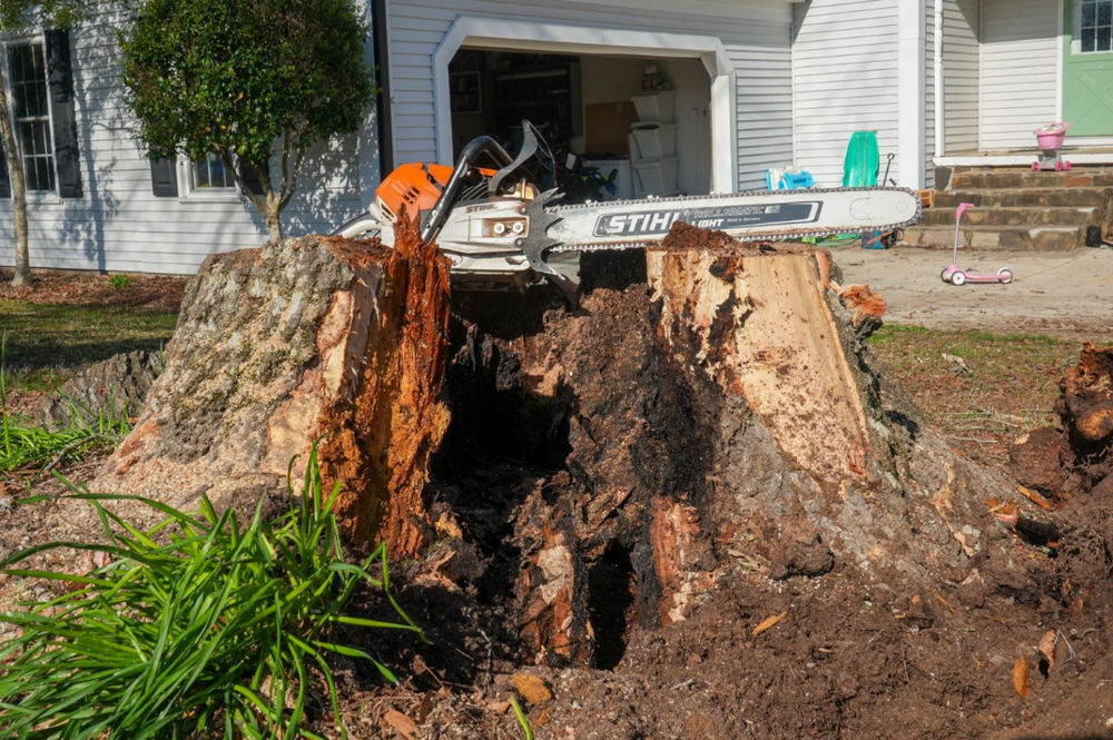 All Photos for Ross Property Service in Fayette County, GA