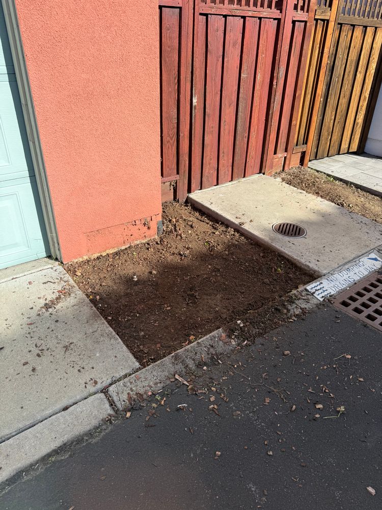 All Photos for CBA Landscaping in Hayward, CA