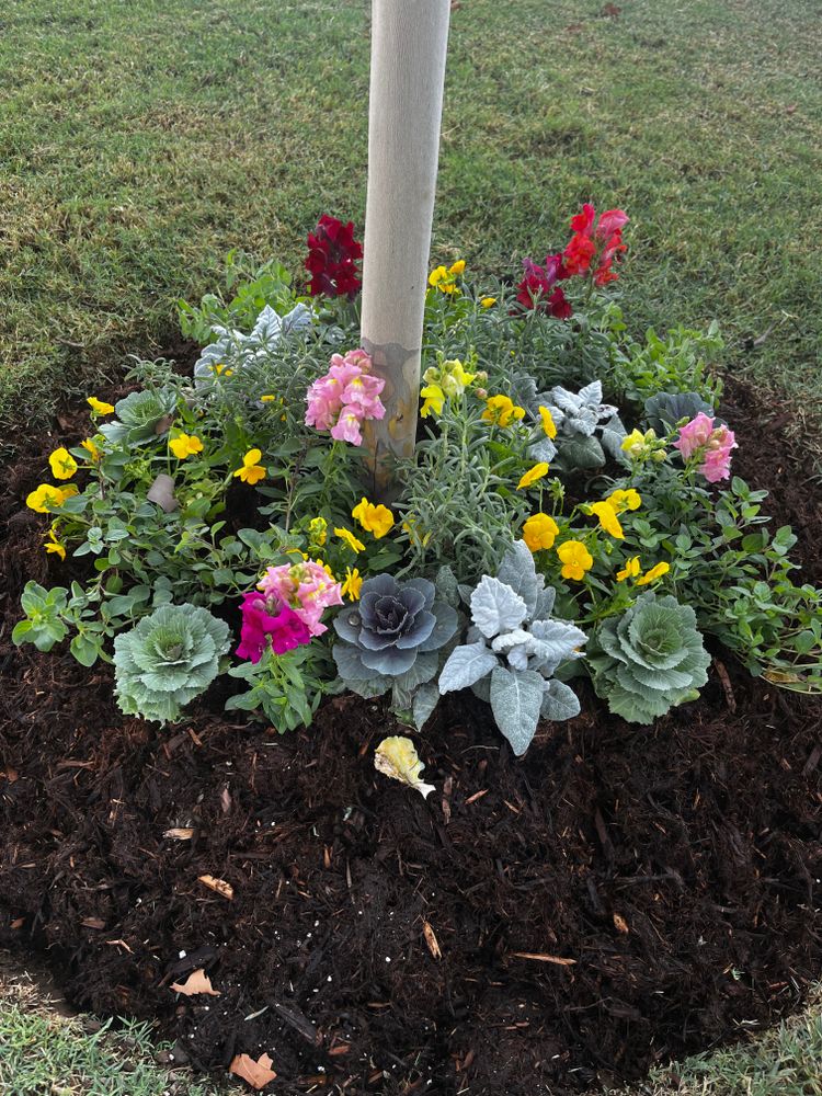 Seasonal Color for Urban Lawn & Landscape in Oklahoma City, OK