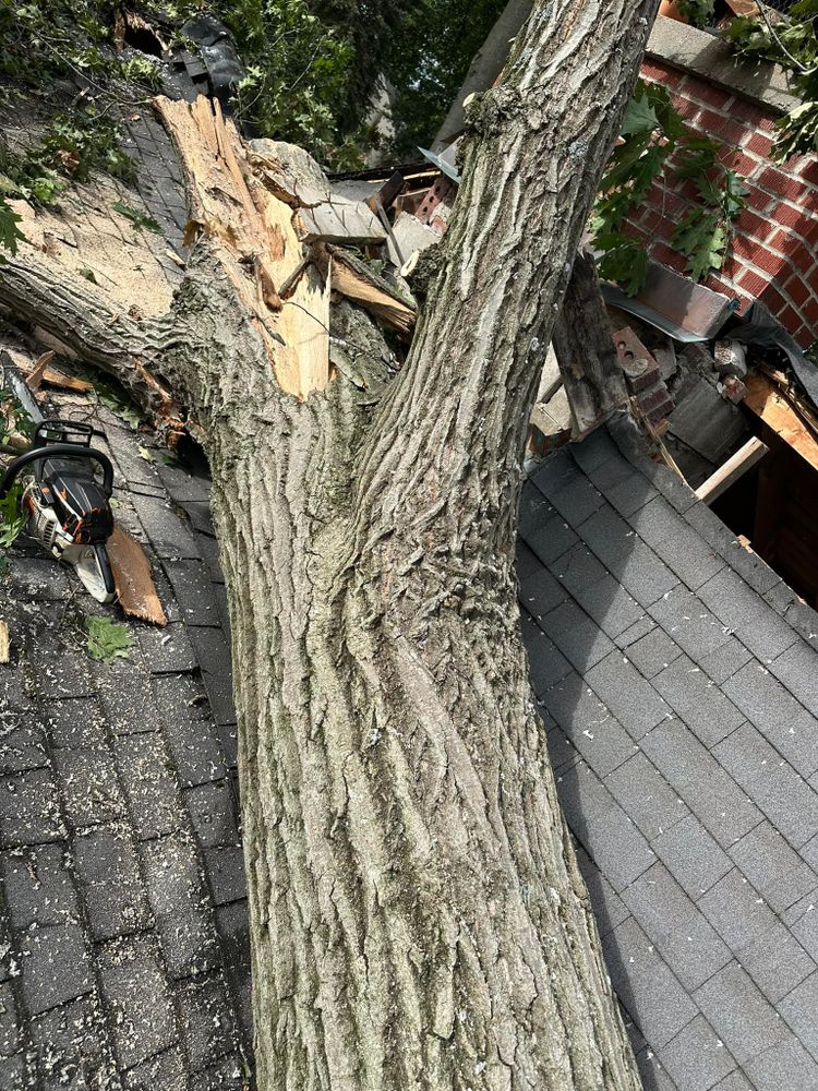 Tree Removal for DGD Outdoor Services LLC in Howell, MI
