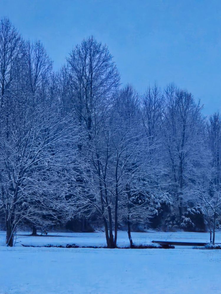 All Photos for Elite Contracting Services in Cecilia, KY