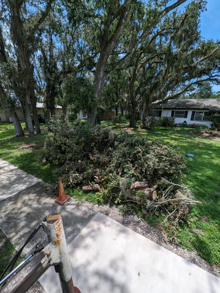 All Photos for Regal Tree Service and Stump Grinding in Wauchula, FL