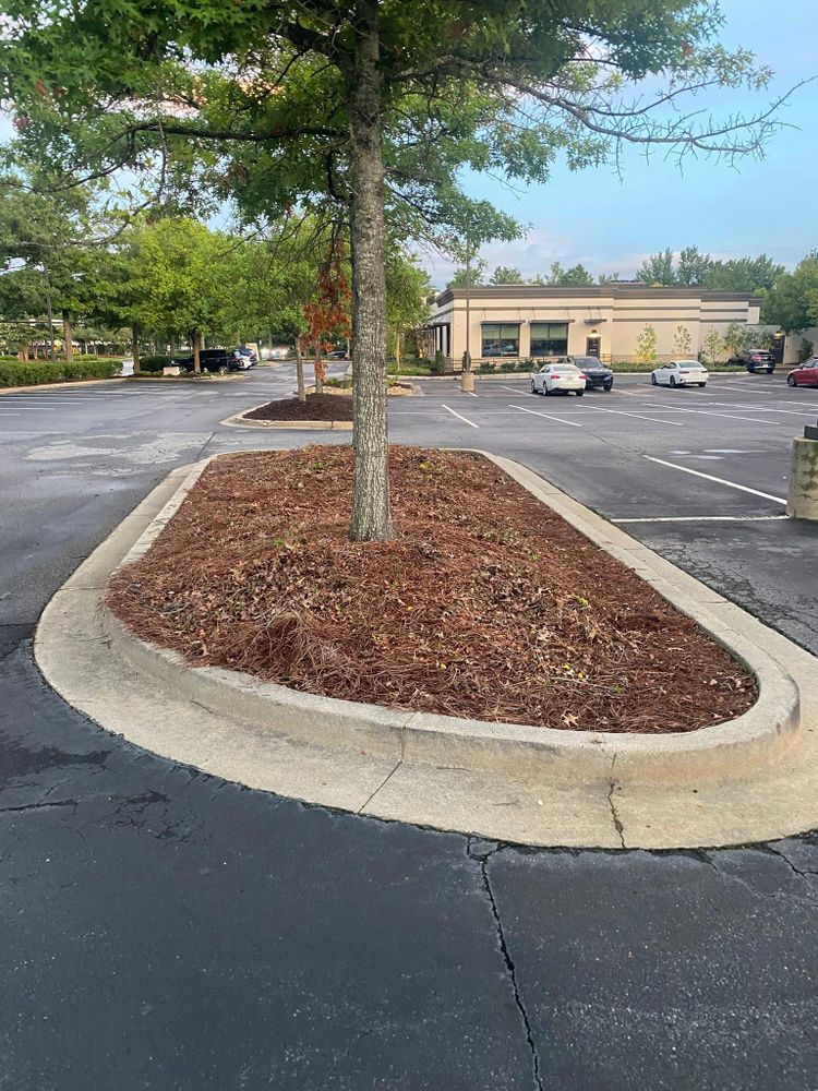 All Photos for Georgia Pro Scapes in Cumming, Georgia