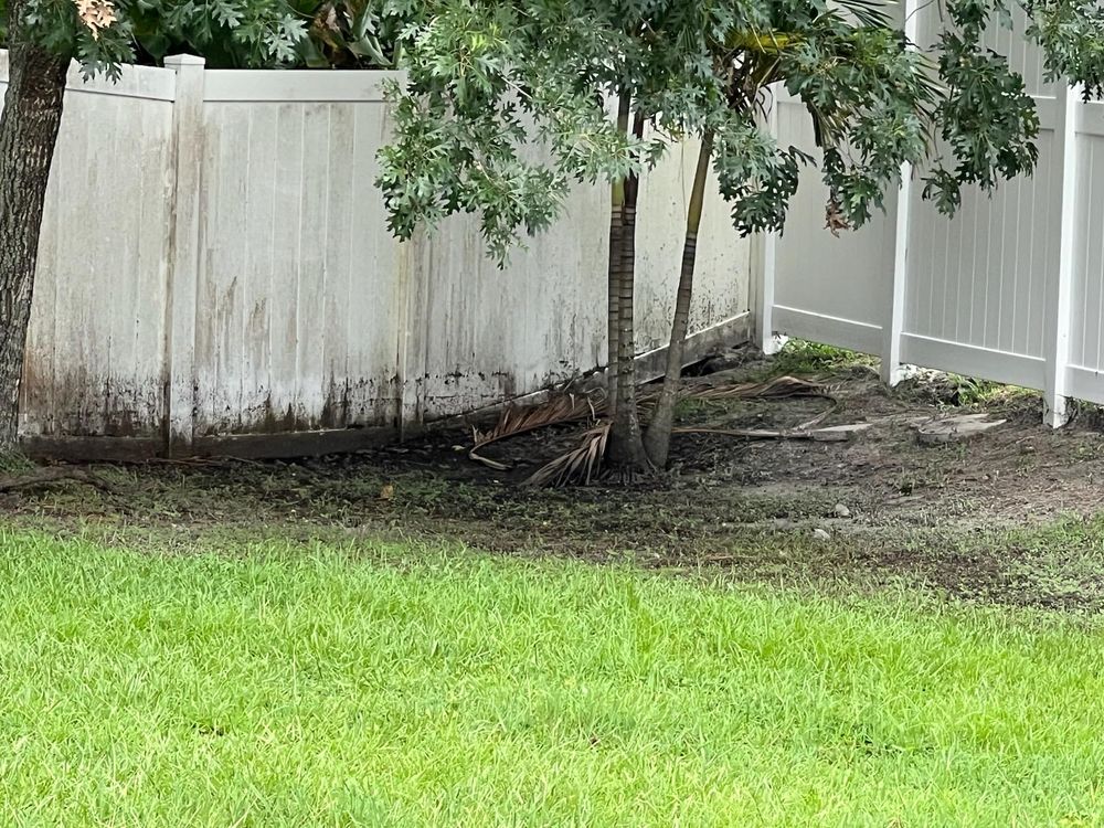 All Photos for Sam's French Drains and Landscape in Orlando, Florida