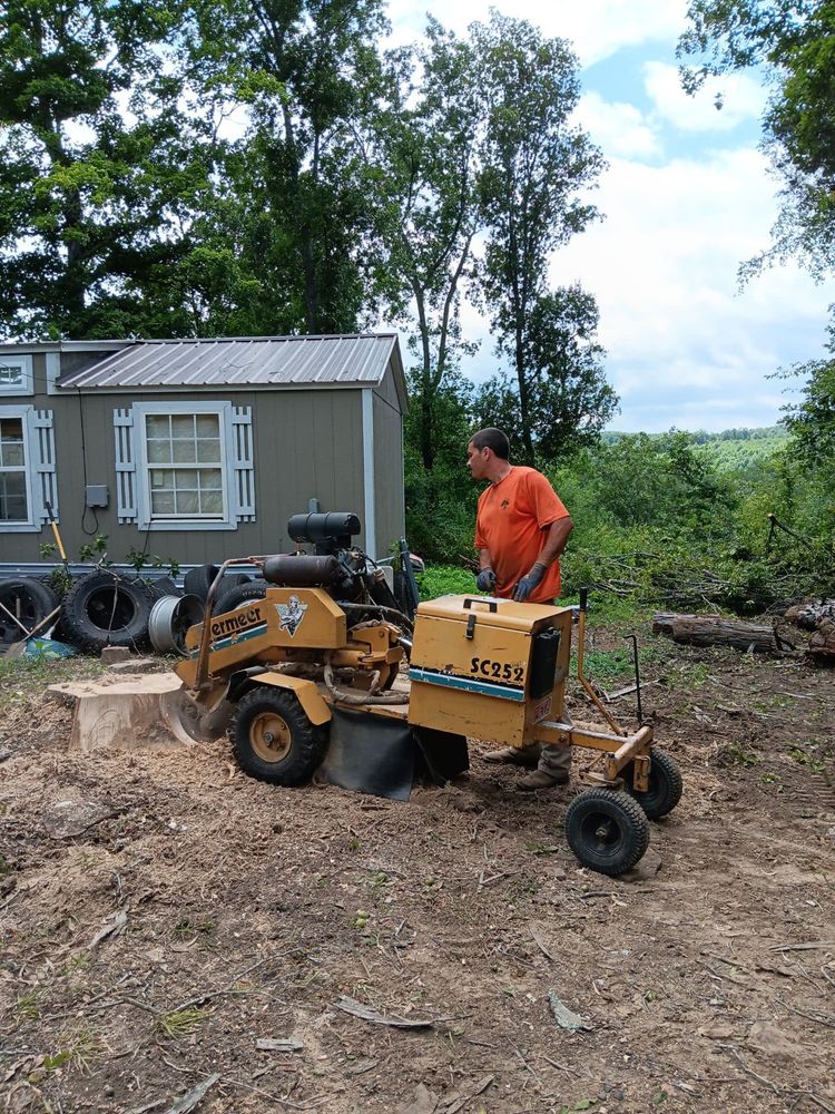 Tree Removal for Ross Family Tree Service LLC  in Hohenwald, TN