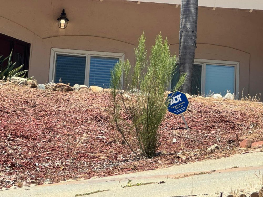 All Photos for The Tree Fairy in Temecula, CA