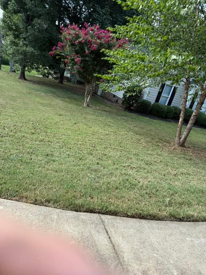 All Photos for America's Top Pick Lawn & Landscaping in Gastonia, NC