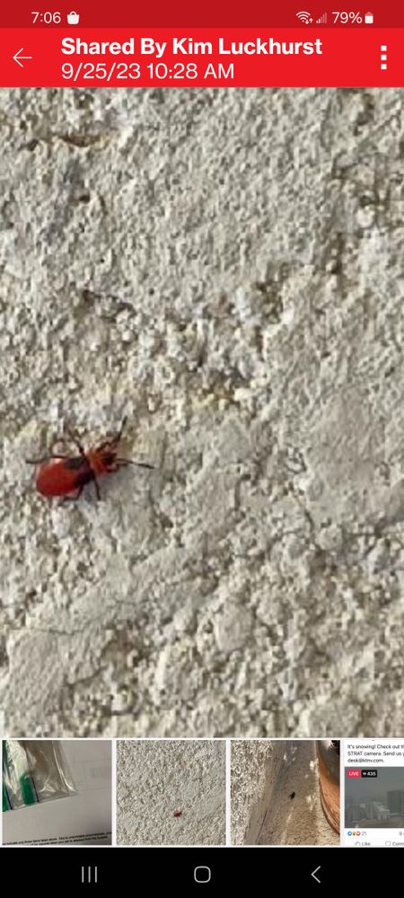All Photos for Niko's Pest Control in Las Vegas, NV