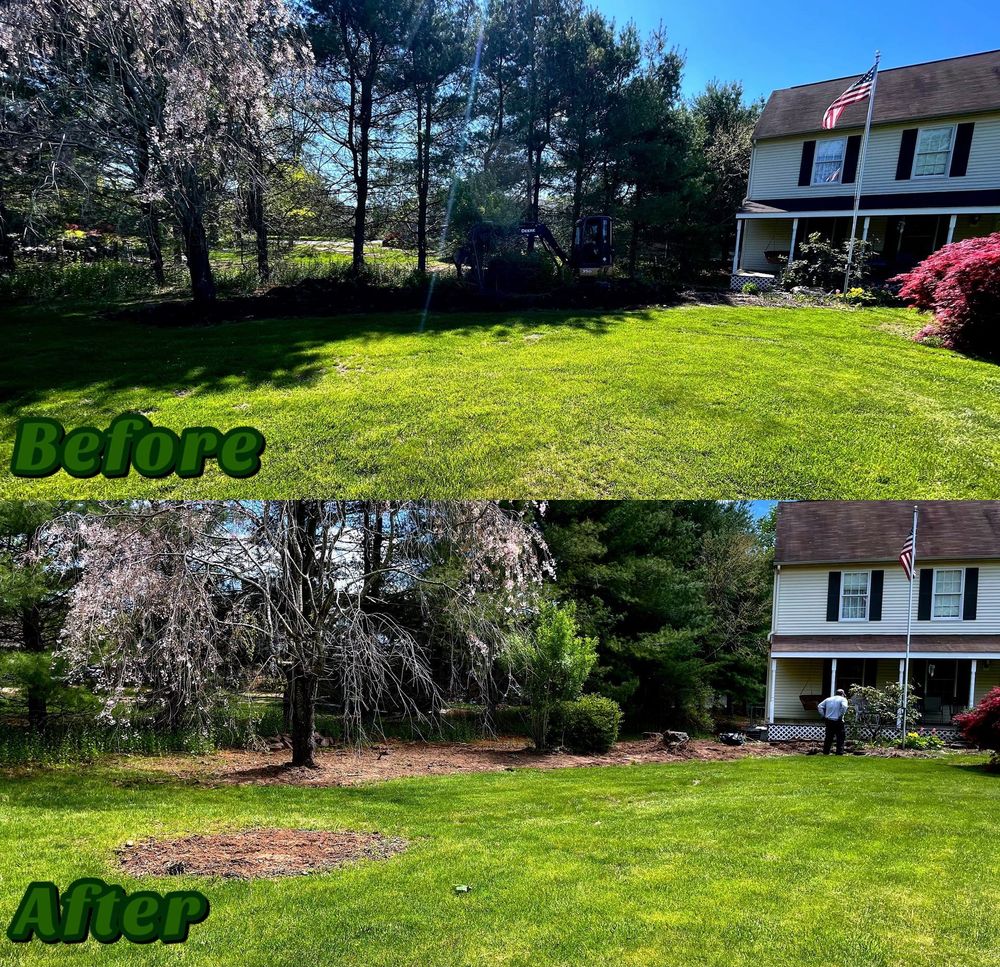 Fall and Spring Clean Up for Fryer Lawn & Landscape LLC in Southington, CT