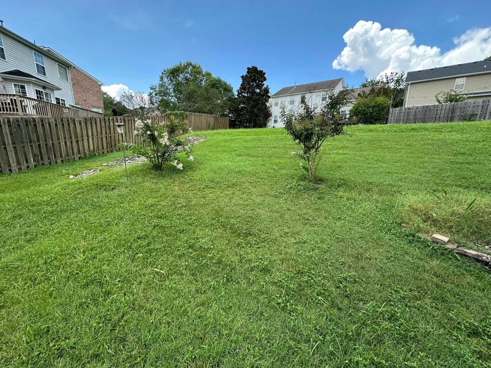 All Photos for Foxlan Landscapes in Fairview, TN