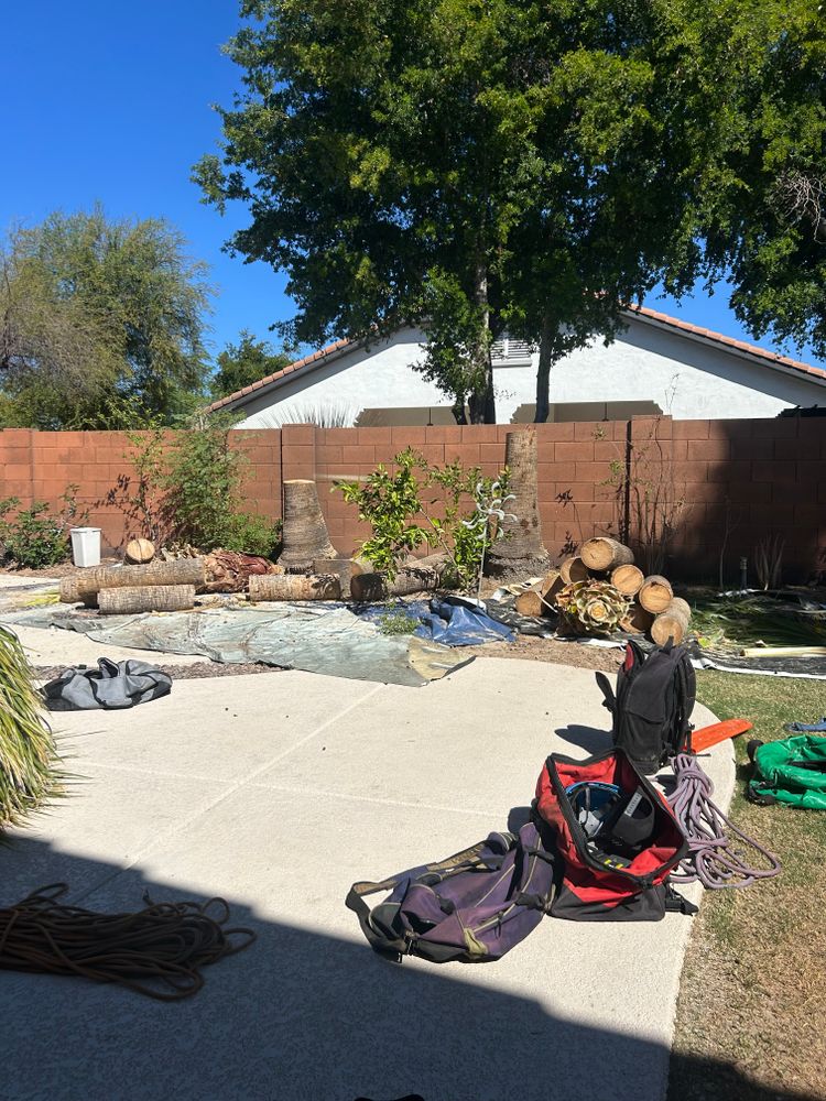 All Photos for Copperhead Solution in Phoenix, Arizona