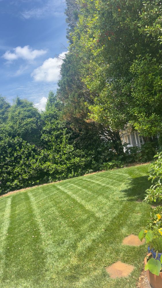 Lawn Transformations for Sunrise Lawn Care & Weed Control LLC in Simpsonville, SC