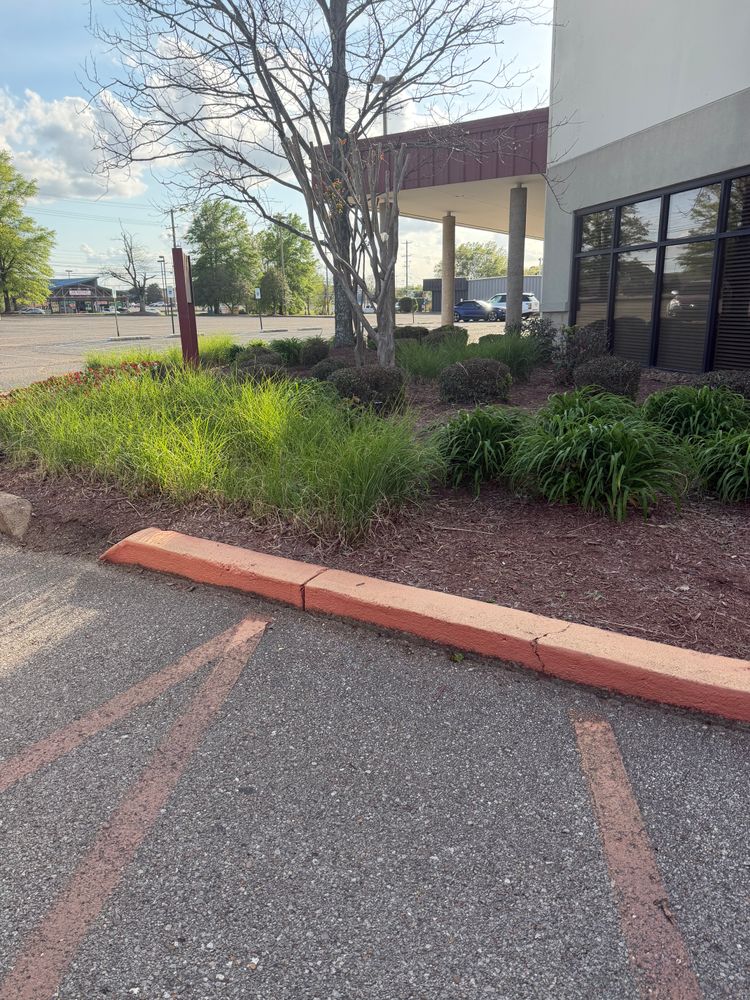 All Photos for Kingdom Landscaping in Memphis, TN