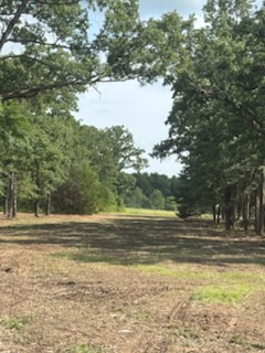 All Photos for JM Services in Woodville, TX