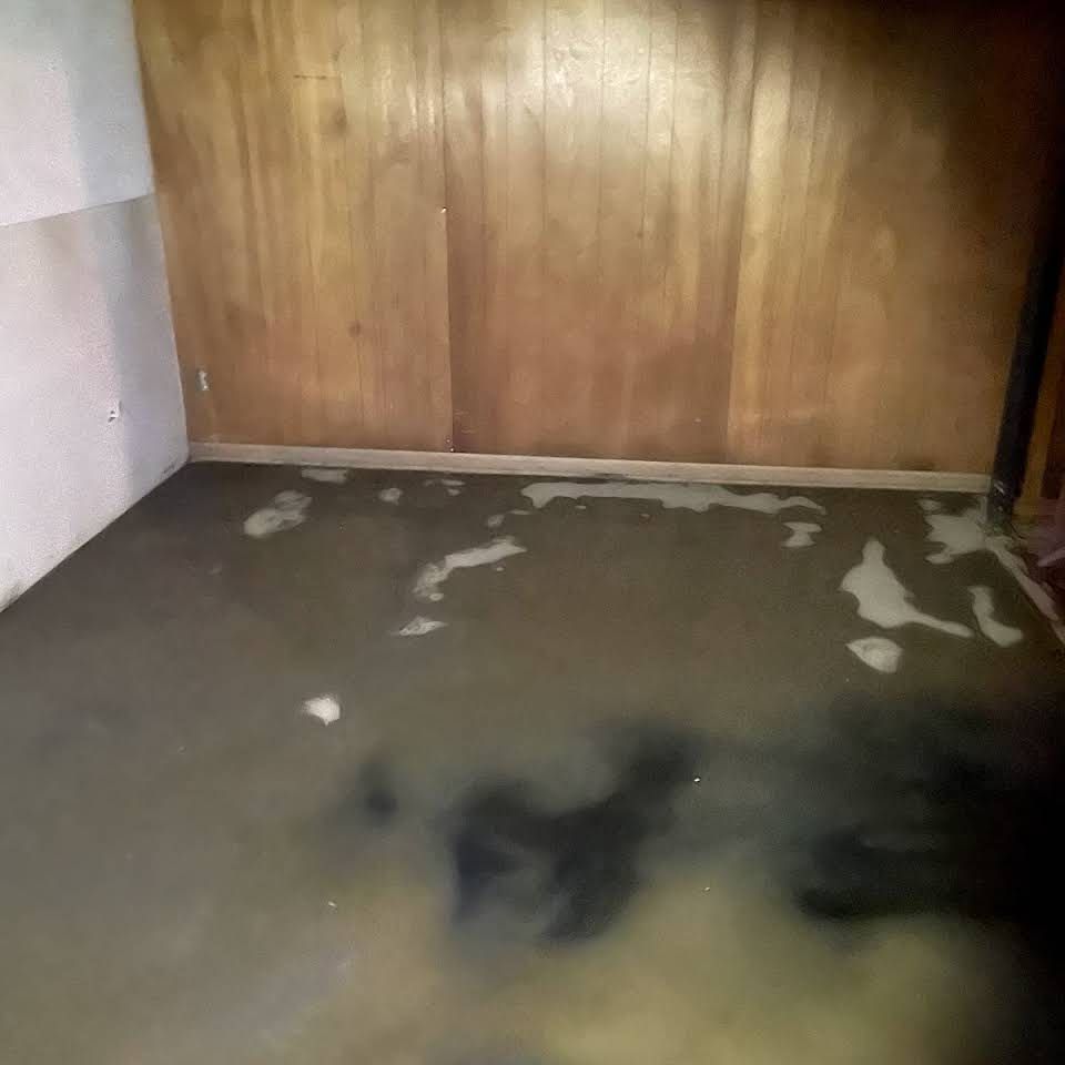 Residential or Commercial Mold Inspection for Mold No More LLC in Clinton Township, MI
