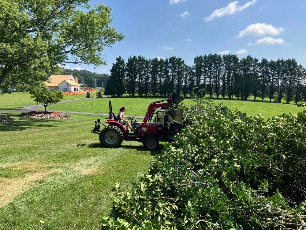 Our Bush Hogging service expertly clears overgrown vegetation, ensuring your property's landscape is pristine and accessible. Perfect for maintaining large areas, it promotes safety and prepares sites for future landscaping or construction projects. for Genesis Landworks in Bluff City, TN