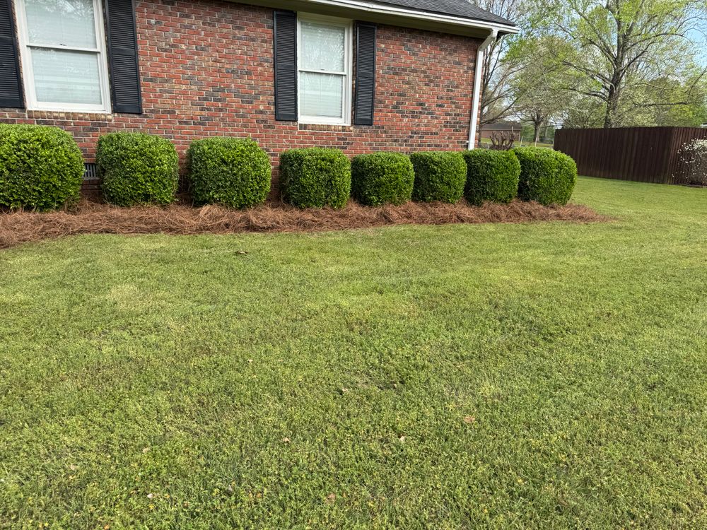 All Photos for Camalett Services in Perry, GA