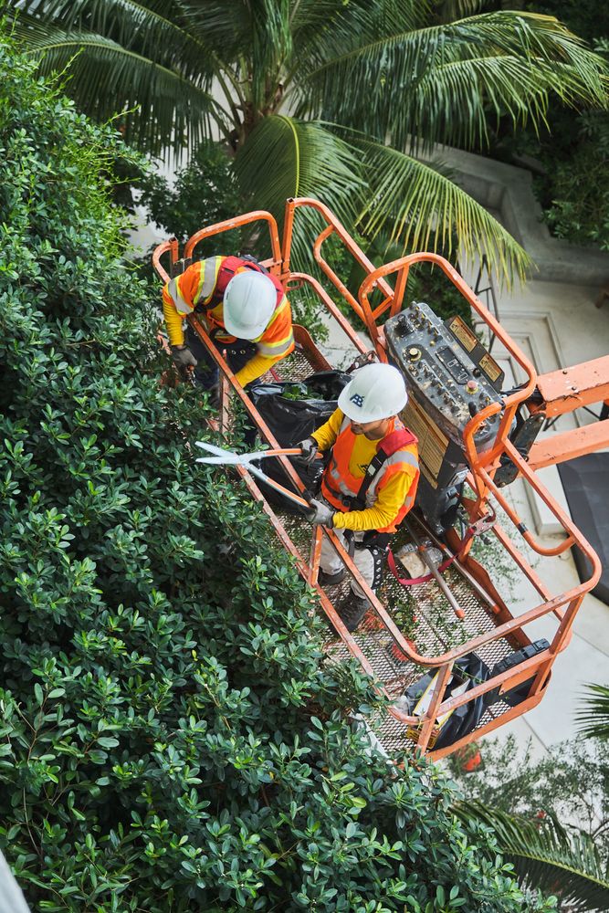 We provide reliable, year-round landscape maintenance to keep your outdoor spaces clean, healthy, and attractive. From routine lawn care to seasonal upkeep, we handle all the details so your property always looks its best. 

We assign a dedicated account manager to your property who provides monthly reports and conducts a walk-through with ownership or the property manager to review progress and address any concerns. Our proactive approach guarantees your landscape remains attractive, healthy, and well-maintained. 
 for Arazoza Brothers Corporation in Miami, FL