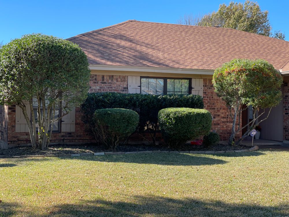 All Photos for Mora’s Lawn Services in Crowley,  TX