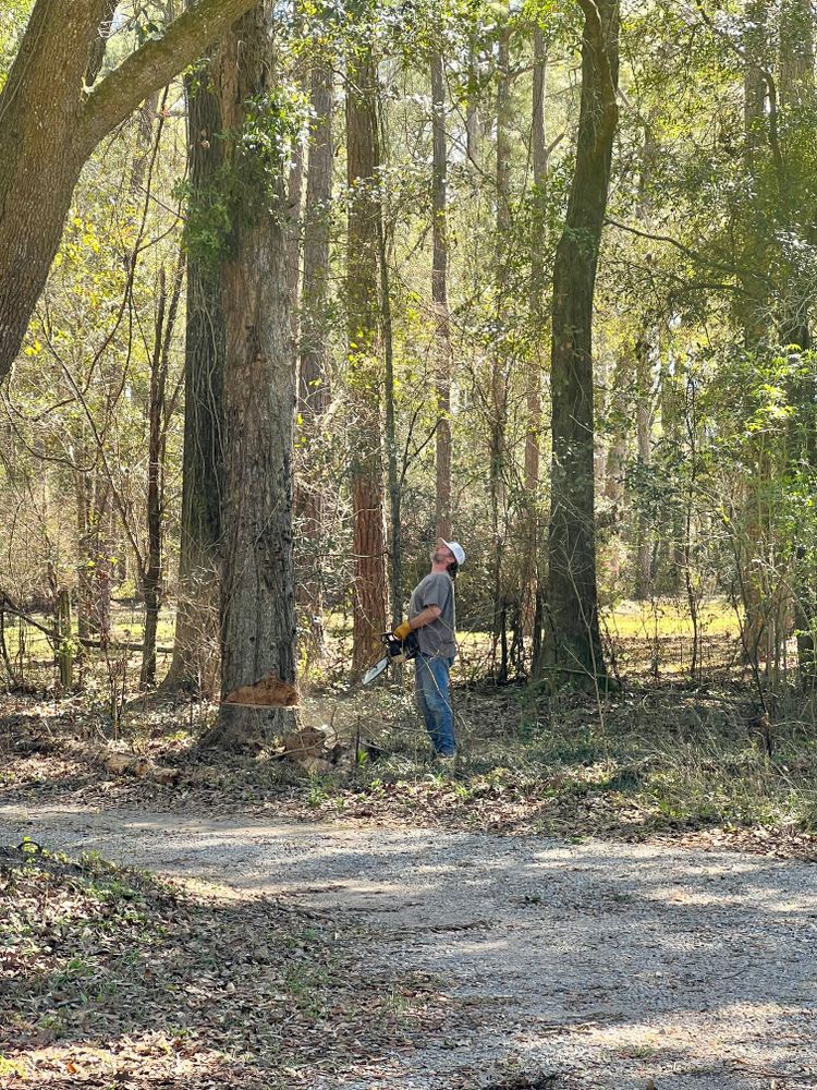 All Photos for Southern Venom Services in Daphne, AL