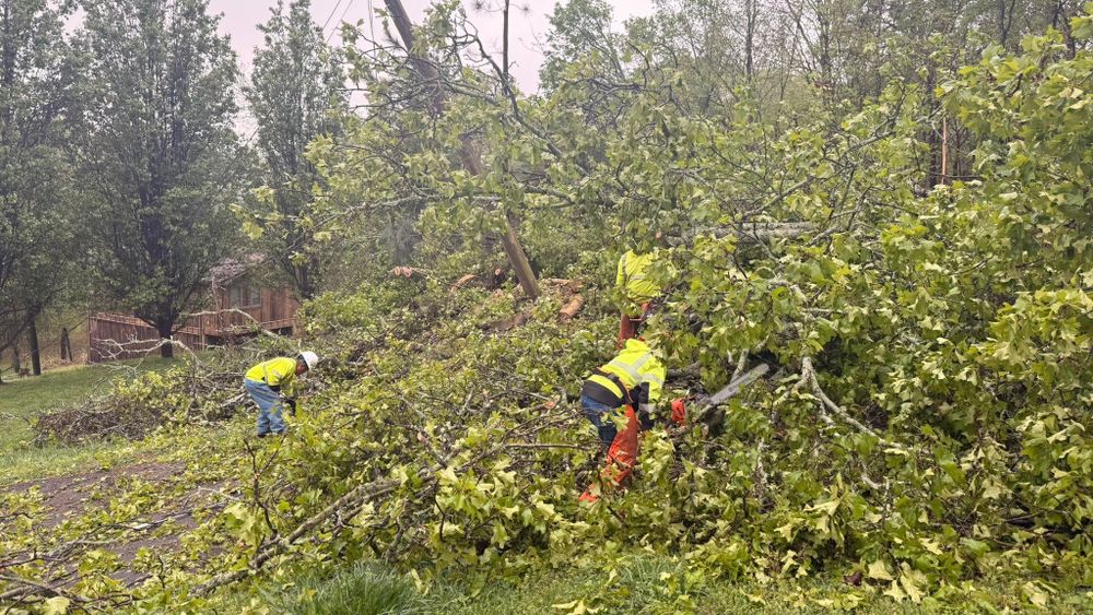 All Photos for Chipper's Tree Service  in Fort Payne, AL