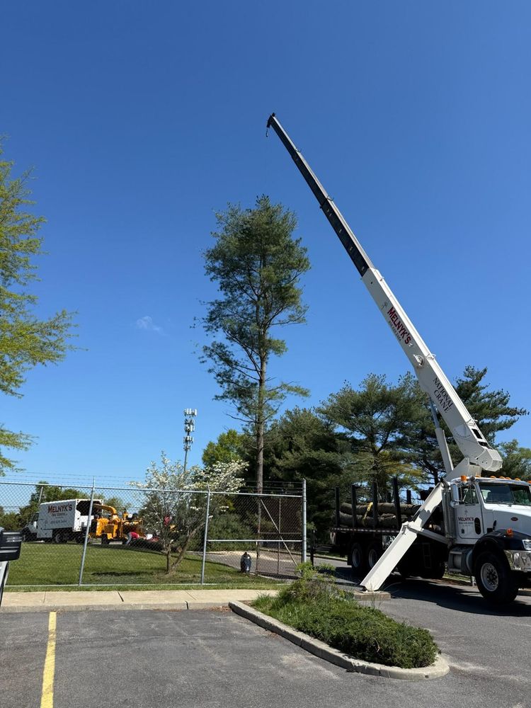 Our expert Tree Removal service ensures safe, efficient removal of unwanted or hazardous trees, enhancing your property's beauty and safety while minimizing disruption to your landscape. Trust us for professional results. for Melnyk’s Tree Service in Salem County, NJ