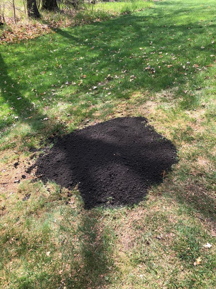 Stump Grinding for Corbin’s Stump Grinding in Hugo, MN