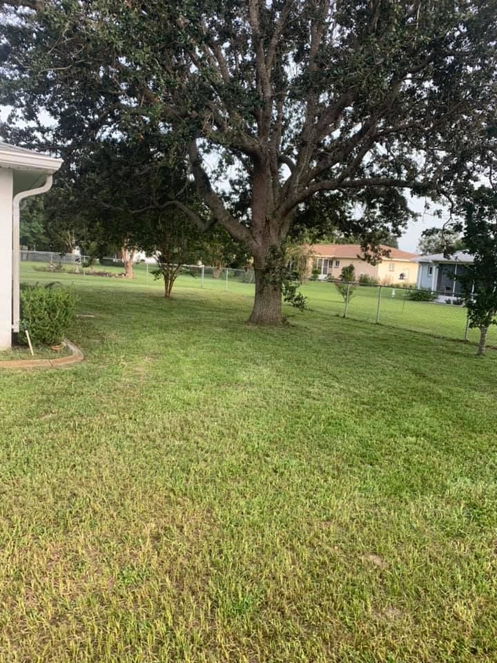 Our Mowing service is perfect for keeping your lawn looking neat and tidy. We provide weekly mowing, edging and trimming to keep your yard in great shape. for All American Property Services in High Springs, FL