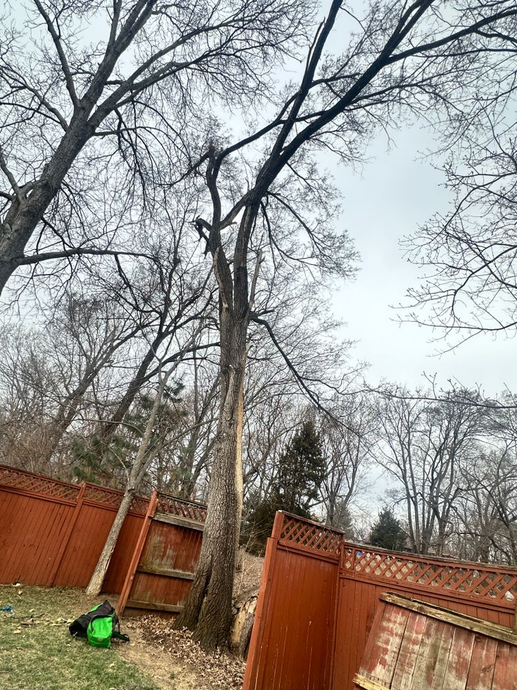 All Photos for Cross Family Tree Service in Kearney, MO